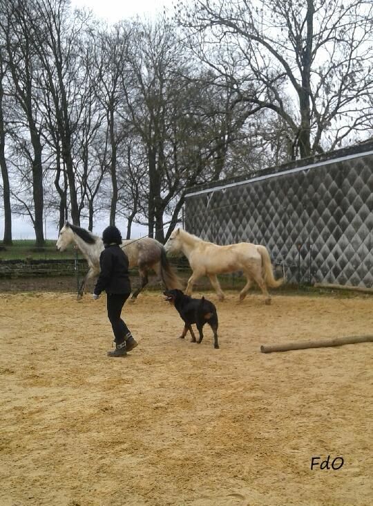 Irhys supervise l'entraînement des copines