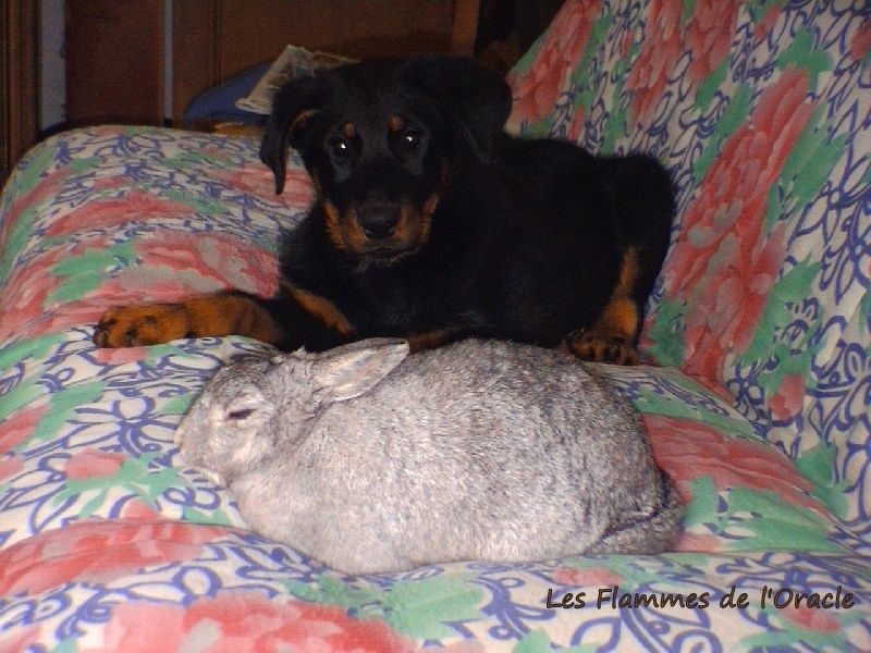 En famille